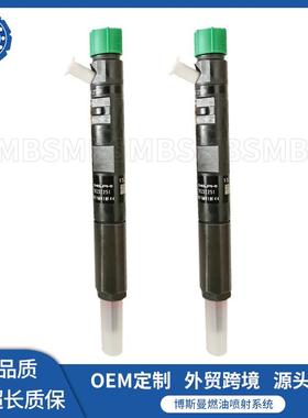 德尔福EJBR011D喷油器总0成R00110D喷EJBR0010油0嘴总成