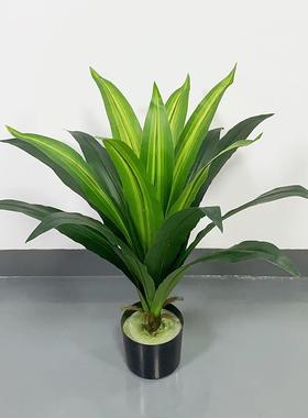 仿真植物巴西铁ITV盆栽绿植装饰盆Simtultiongreena景plan跨境