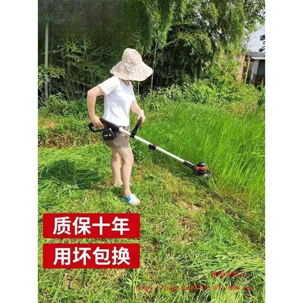 进电动割草机充电式小型用家便携ZRK式大口率功多功能农用锂电打,鲜花速递/花卉仿真/绿植园艺,其它园艺用品,淘宝优惠券,粉丝福利购,淘宝优惠卷