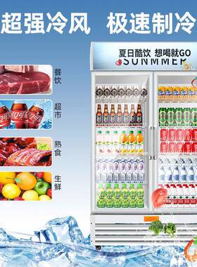 大冷藏展示柜立商用单开门冰柜量啤酒饮料774超式市保鲜展示容柜