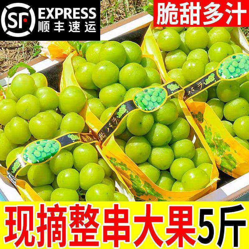 阳光玫瑰葡萄新鲜水果晴王提子青提大果整串国产整箱