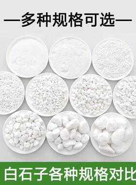 天然白石子石头大鹅卵庭院石铺路51924铺地小色白石头园林山水白