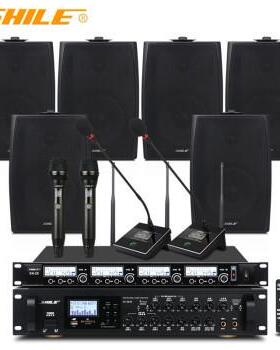 狮乐（SHILE）AV-8820/BX-105会议室音响功放话筒6.5英寸组合套装