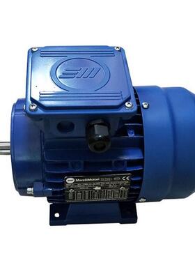 意大利MarelliMotori电机MOT.3~MAQ112M6B5