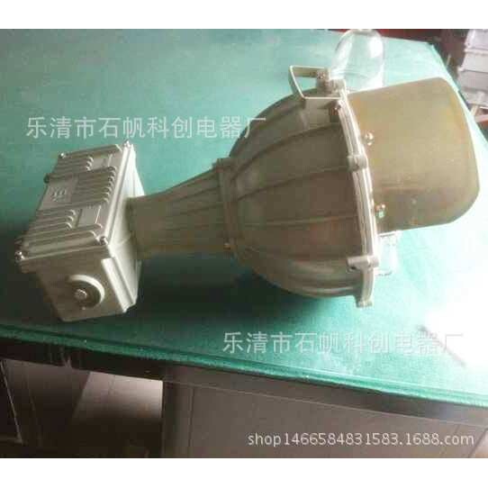 400w 一体 连体防爆投光灯圆形NFE009M250W-S400 防爆金卤灯射灯