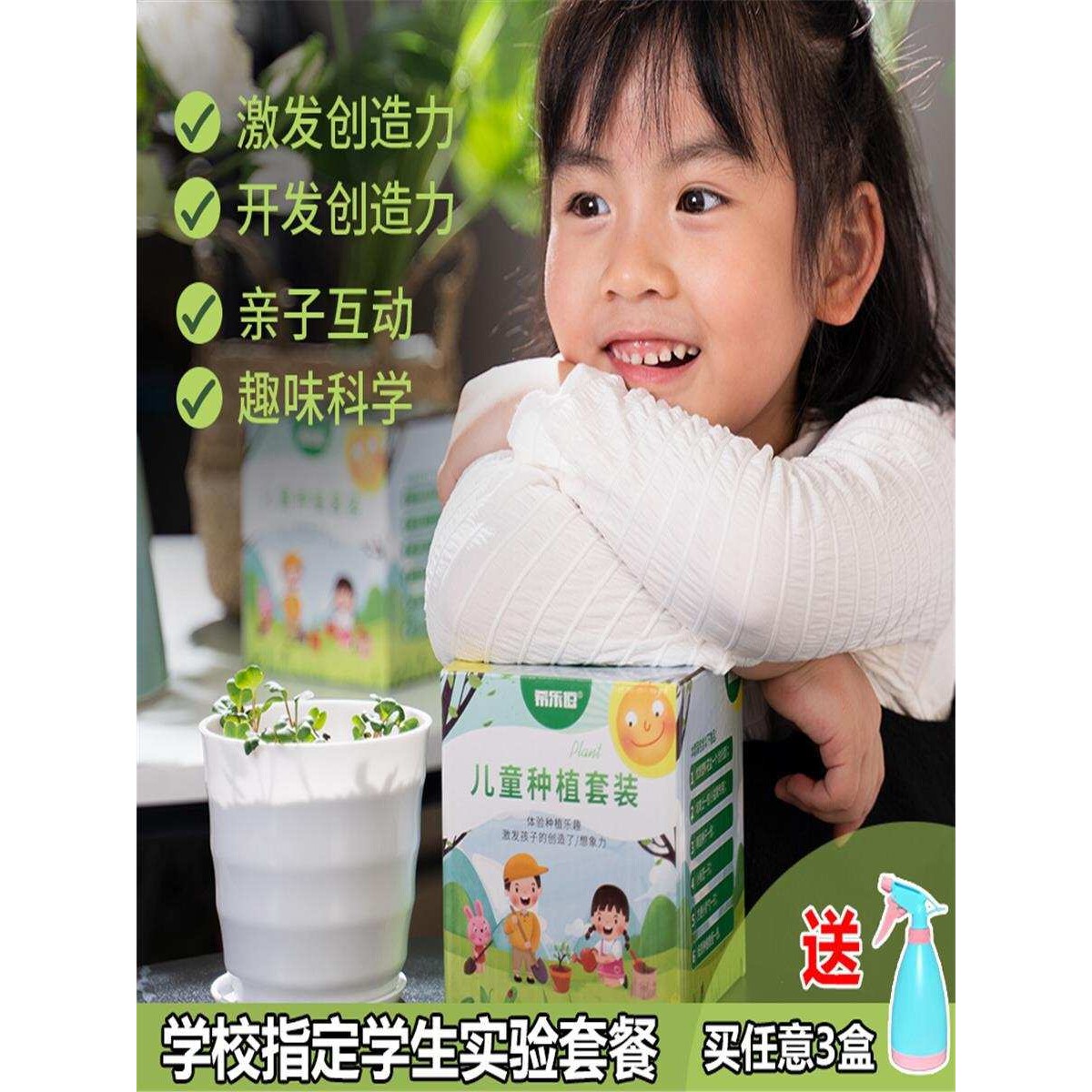 儿童种植小盆栽向日葵花种籽子四季樱桃萝卜豌豆番茄种孑学生植物