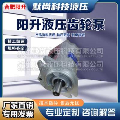 合肥阳升液压 齿轮油泵 CBF-E450-ALP ALPL ALH ALHL 液压泵