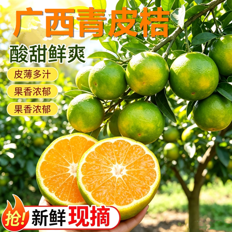 广西特早熟无籽蜜桔现摘包邮