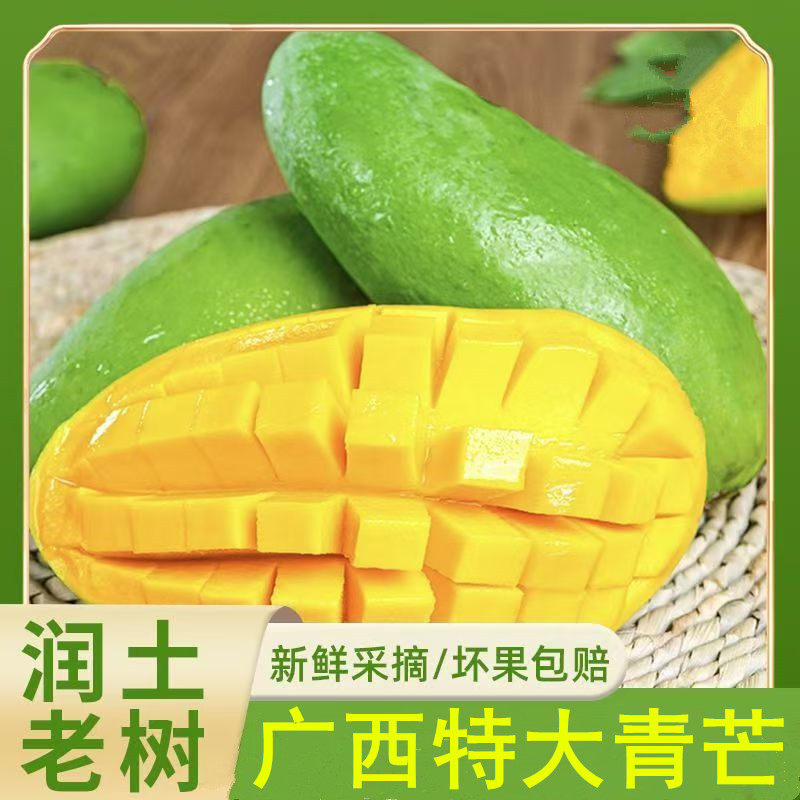 老树当季大青芒果新鲜当天摘现发
