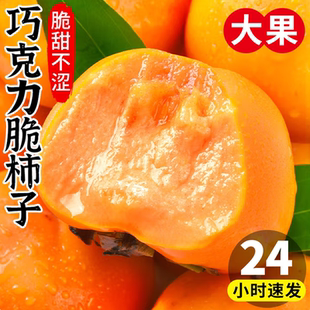 巧克力脆柿子9斤水果新鲜当季整箱包邮大果黄硬甜脆火晶小柿子甜