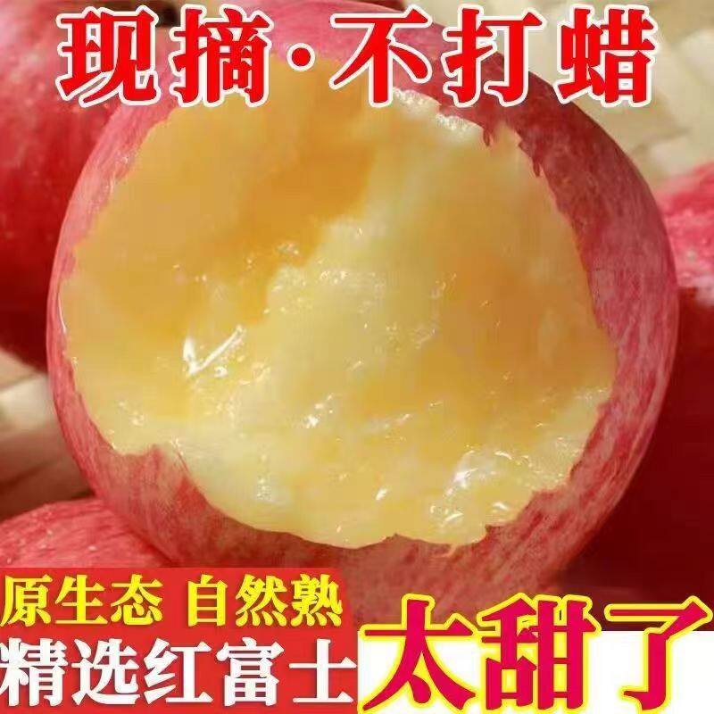 新鲜脆甜红富士苹果现摘水足8个