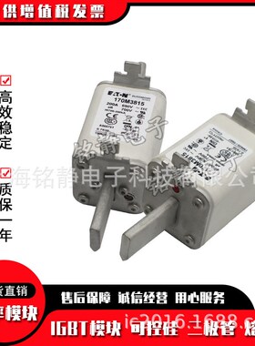 170M2673 170M2674 170M2675 170M2676巴斯曼170M2677熔断器/底座