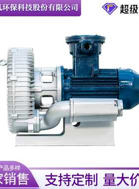 防爆高压鼓风机防爆等级DIIBT4/DIICT4 工业高压漩涡气泵现货