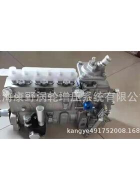 道依茨喷油泵1001620056 B6AD548G11-R和13033098 B6AD506A6机械