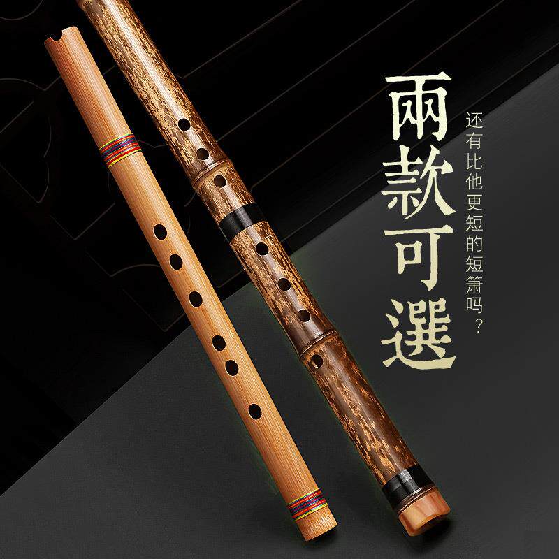 零基础入门洞QPO箫便携箐苦竹楷短萧迷你小笛子古风六F调初学乐萧