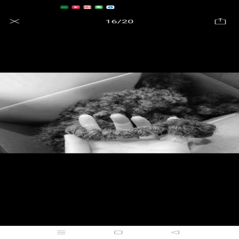 床垫填充用卷曲马尾毛，源头厂家 质量保证