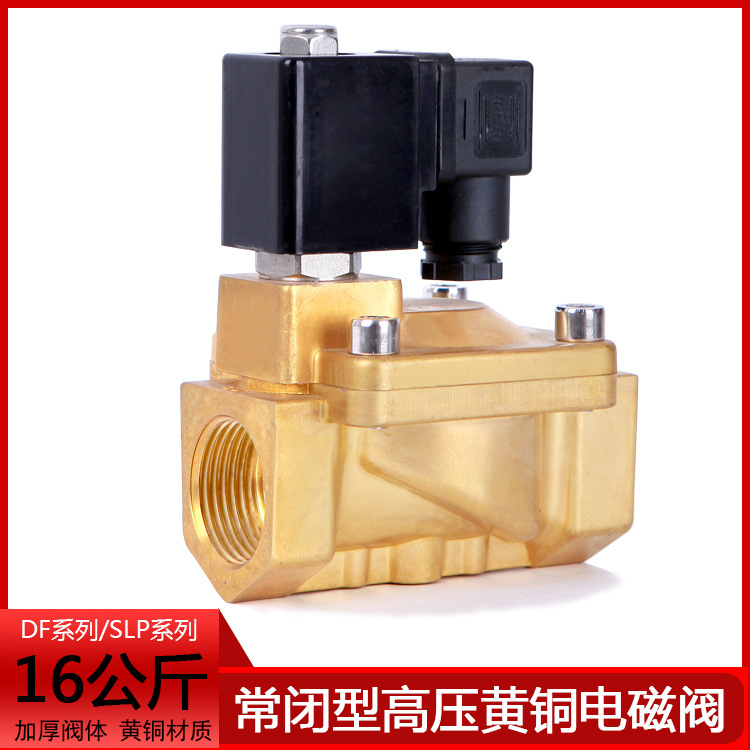 16公斤DF型电磁阀 水阀 加厚黄铜电磁阀 气阀SLP型AC220V 24V 12V