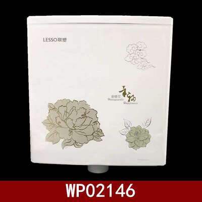 联塑WP02146双按节能冲水箱家用卫生间壁挂式蹲厕蹲坑大冲力水箱