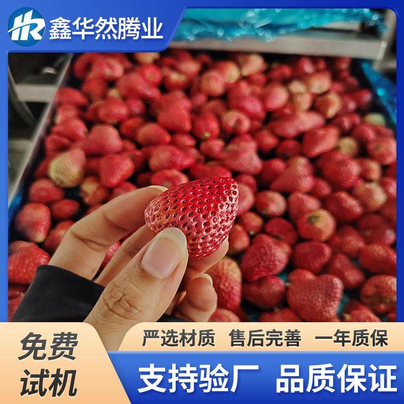 蓝莓草莓真空冻干机 榴莲冷冻干燥设备 山楂无花果低温脱水冻干,机械设备,干燥机/干燥箱/烘干机,淘宝优惠券,粉丝福利购,淘宝优惠卷