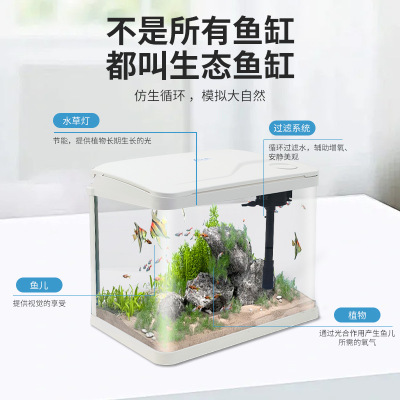 热弯高清玻璃鱼缸客厅小型家用桌面免换水循环生态造景水族箱批发