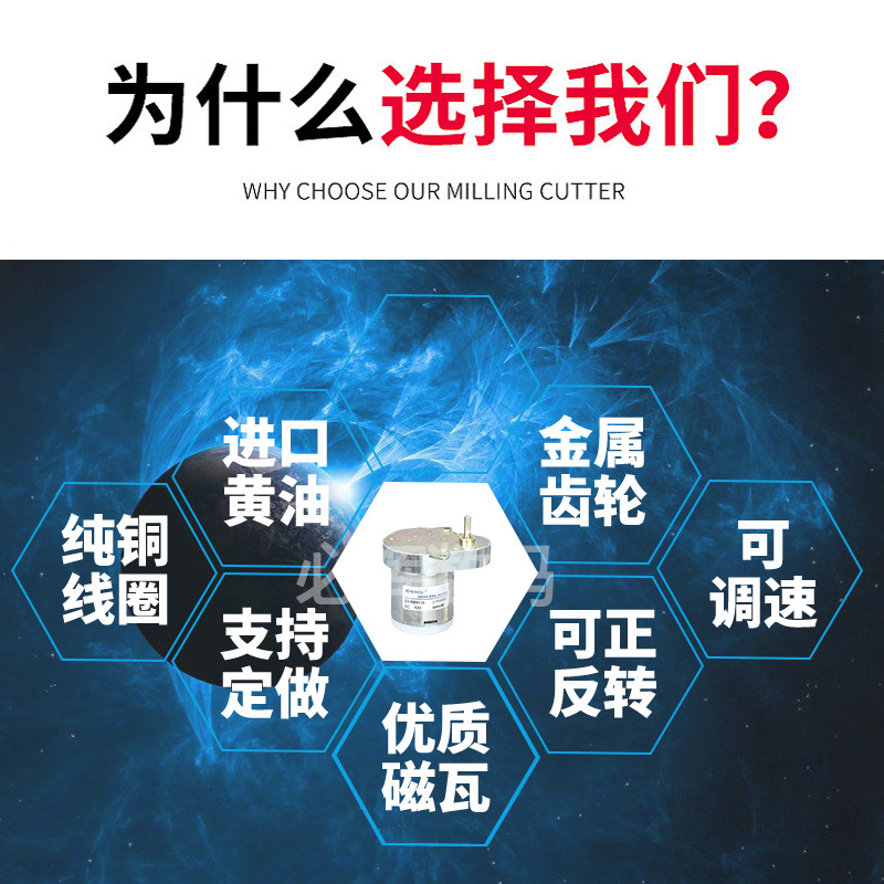 ZS-RE 12V 24V 直流减速电机马达