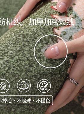 中古地毯异客厅古绿色茶几N梵花沙形发地复垫防水防污2卧室床边20