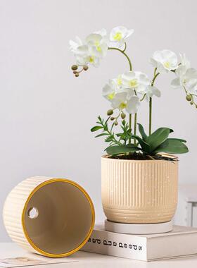 花盆陶瓷蝴蝶兰花盆室肉内桌面特价清20250108大仓号盘家用吊兰多