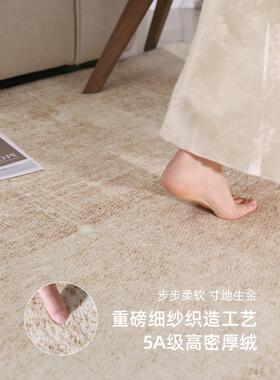 地毯客厅202新款5免垫洗毯可擦沙发地家用轻FYR20133奢高级感卧室