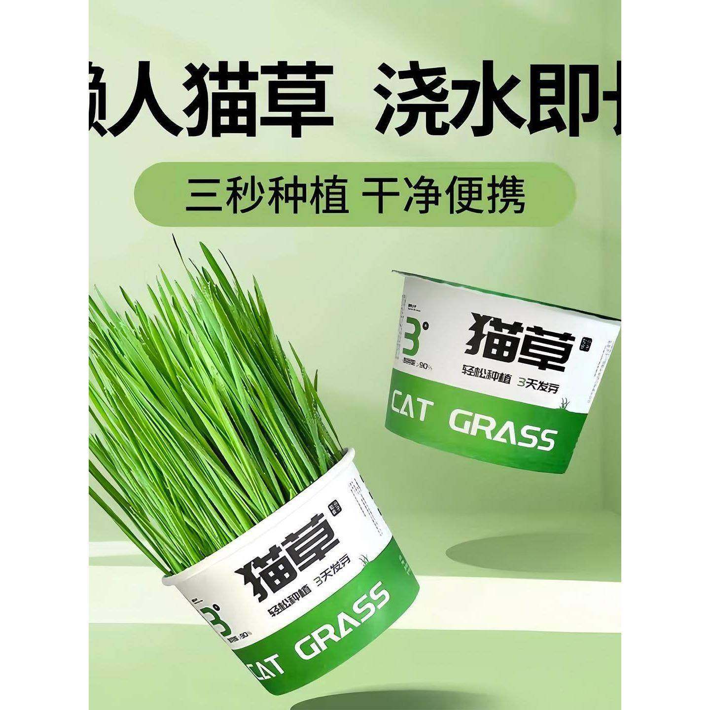 懒人泡面猫草种盆栽子化猫薄荷猫用品大全零食轻ZUV松温和咪排毛,宠物/宠物食品及用品,猫草/猫草片,淘宝优惠券,粉丝福利购,淘宝优惠卷