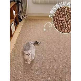 彷剑麻地毯客厅耐边INFO.1磨防猫抓地垫卧榻室阳毯台床地日式榻米