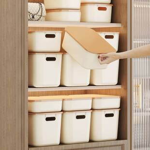 次日达储杂物收纳化妆盒品收纳筐桌面零食玩具纳箱家用加厚带盖物