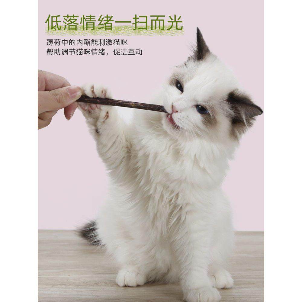 咪牙棒木天蓼成幼猫猫洁齿自嗨解闷零猫草薄磨荷逗猫棒玩ZL-OY-mt,宠物/宠物食品及用品,逗猫棒,淘宝优惠券,粉丝福利购,淘宝优惠卷