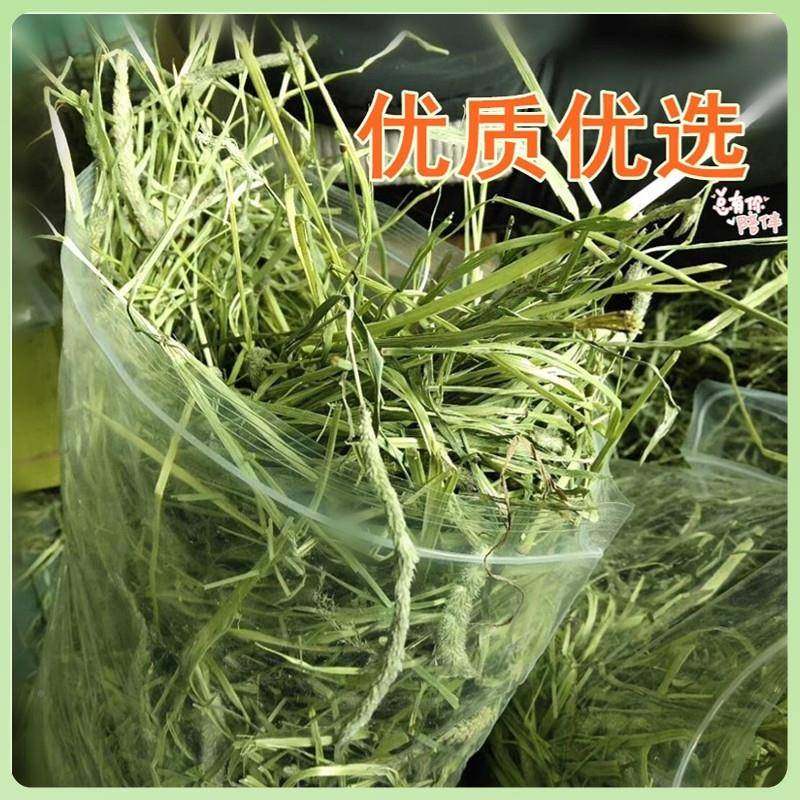 25年提摩西草兔兔子干 草食用粮干提973食莫饲料的晒干 干粮豚鼠,宠物/宠物食品及用品,兔兔其他,淘宝优惠券,粉丝福利购,淘宝优惠卷