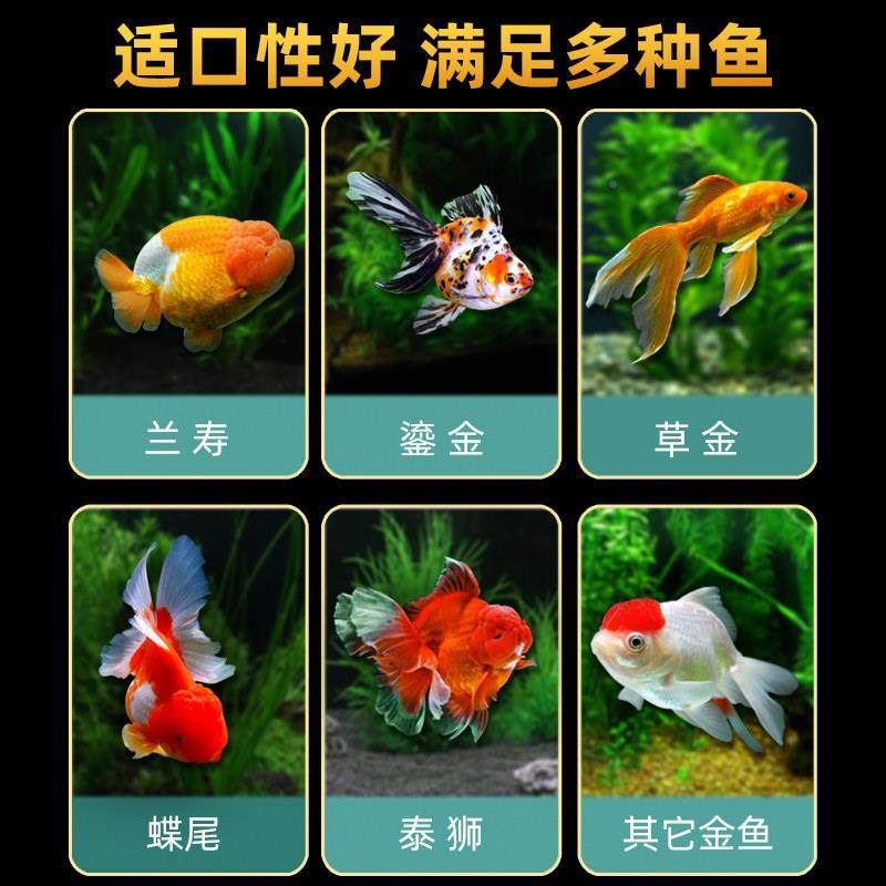 兰金鱼饲金鱼饲料用料食小颗粒寿泰狮鱼小型鱼通鱼饲料观赏鱼上浮,宠物/宠物食品及用品,观赏鱼饲料,淘宝优惠券,粉丝福利购,淘宝优惠卷