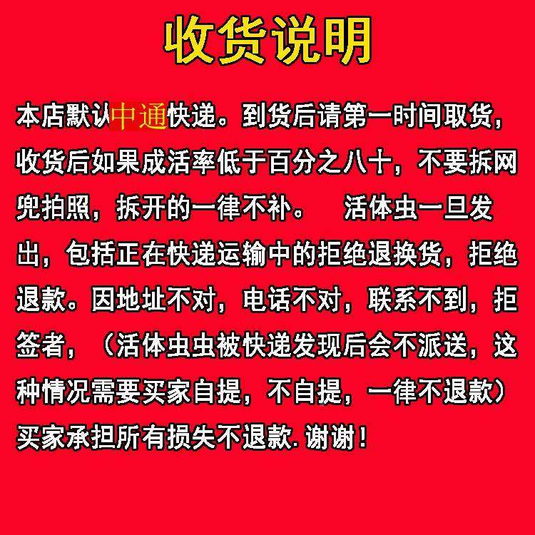 面虫 活体 黄粉虫活虫 鹦鹉面鱼 乌龟画 567金龙 鱼画 眉包鸟石,宠物/宠物食品及用品,观赏鱼饲料,淘宝优惠券,粉丝福利购,淘宝优惠卷