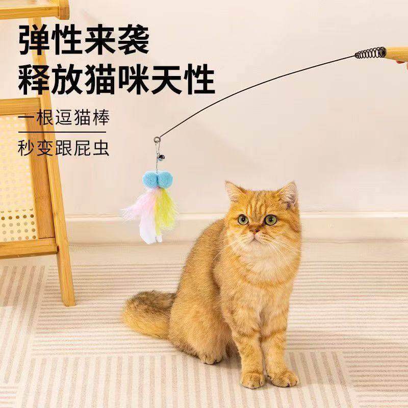 CFA赛级逗棒小猫嗨解自闷猫器羽毛铃铛替换头921长杆逗神猫棒玩具,宠物/宠物食品及用品,逗猫棒,淘宝优惠券,粉丝福利购,淘宝优惠卷