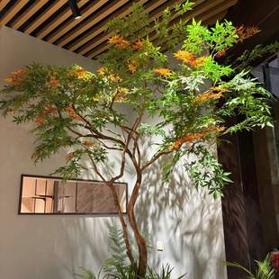 仿真绿枫树鸡爪槭枯山水室内茶室景观盆景假树摆件绿植造景装饰