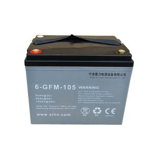 6GFM105蓄电池电动托盘搬运堆垛车小金刚地牛叉车理士原厂电瓶