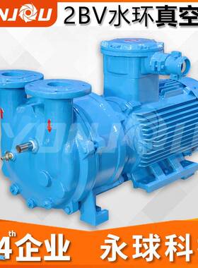2BV水环式真空泵循环水真空泵高真空度真空泵机组直销
