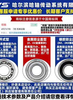 RYS 哈轴传动 6216 6217 6218 6219 ZZ 2RZ