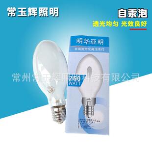 125W160W自汞泡250W450W自镇流汞灯泡荧光高压汞灯灯泡