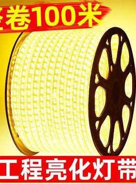 户外led防水灯带220v工程外墙低压24v超亮养殖工地照明塔吊灯带条