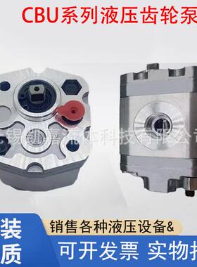 高压液压齿轮泵油泵叉车泵电动CBU-F110BL/F1019/F1038/F1050原装