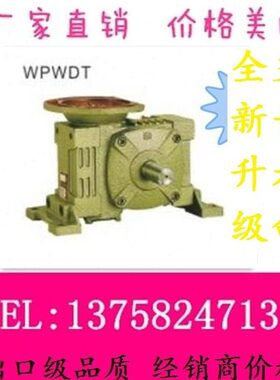 WPWDT/V 50/60/70/80/100/120/135/155/175蜗轮蜗杆 WP变速减速机
