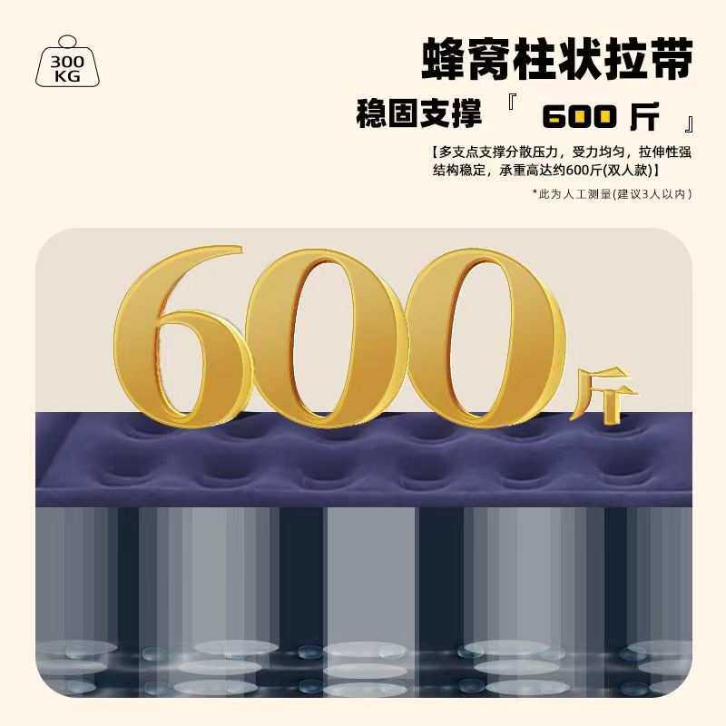 成人充气式床午睡可折叠双人空气床铺充气床气垫床垫单人加高水上