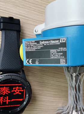 E+H温度控制器探头 iTHERM ModuLine TM111/TM101温度变送器