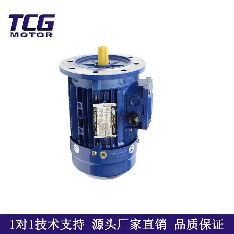 台创250W异步铝壳电机带刹车 制动电机机械设备用电动机深圳否TCG