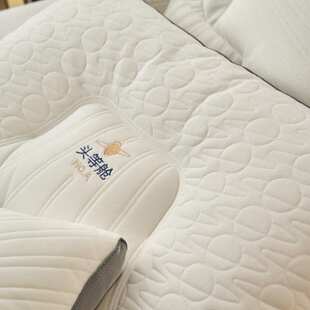 泰国乳胶枕头一对头等舱太空枕家用天然橡胶单人宿舍学生护颈枕芯