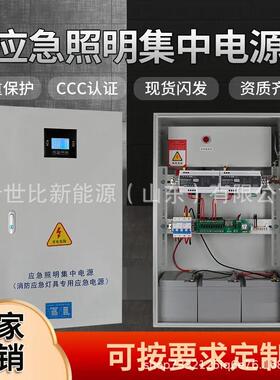 A型应急照明集中电源配电箱应急照明1000WDC24V36V延时90分钟