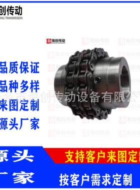 海创传动牌滚子链联轴器生产GL型滚子链联轴器